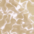 product-image-2572375-0