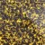 product-image-2572377-0