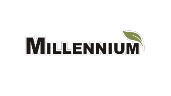 Ламинат Millennium 33 класса